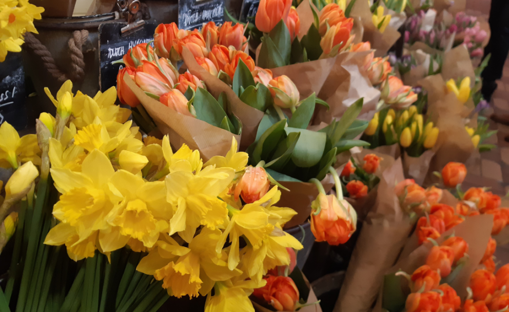 bunches of daffodils and tulips