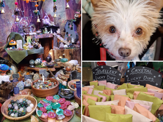 three images, left is a picture of the fairy garden, top right is of a dog staring into camera, bottom right is of lots of different coloured small packets in a basket for the lucky dip